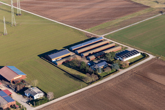 Luftbild von Aussiedlerhof Alsheimer Weg in Plankstadt im Bundesland Baden-Württemberg, Deutschland