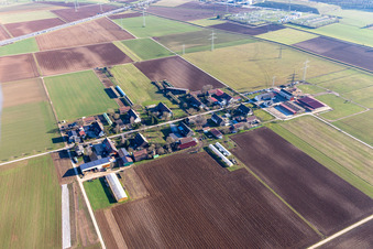 Neurott mit Gemüsehof Spieß und Pferdehof Gieser im Ortsteil Patrick Henry Village in Heidelberg im Bundesland Baden-Württemberg, Deutschland