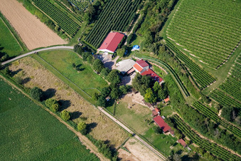 Luftbild von Ranch in Herxheim bei Landau im Bundesland Rheinland-Pfalz, Deutschland