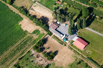 Michael Schwager in Herxheim bei Landau im Bundesland Rheinland-Pfalz, Deutschland