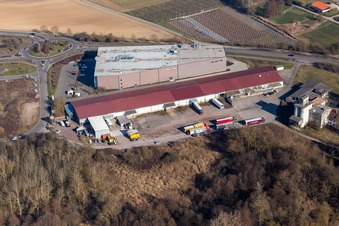 Luftbild von Gewerbegebiet und Firmenansiedlung Gewerbepark W 1 mit Spedition NUSS und Einrichtungshaus Weber in Herxheim bei Landau (Pfalz) im Bundesland Rheinland-Pfalz, Deutschland