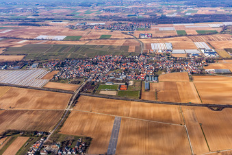 Schrägluftbild von Dorf - Ansicht am Rande von landwirtschaftlichen Feldern und Nutzflächen in Weingarten (Pfalz) im Bundesland Rheinland-Pfalz, Deutschland
