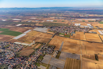 Weingarten im Bundesland Rheinland-Pfalz, Deutschland
