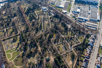 Grabreihen auf dem Gelände des Friedhofes Speyer in Speyer im Ortsteil Burgfeld im Bundesland Rheinland-Pfalz, Deutschland