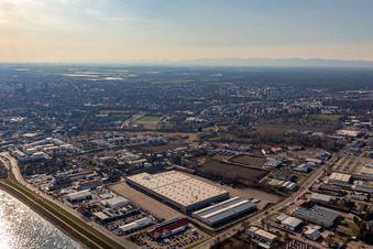 Luftbild von Industriegebiet Auestraße, Lidl Commerce Lager im Ortsteil Ludwigshof in Speyer im Bundesland Rheinland-Pfalz, Deutschland