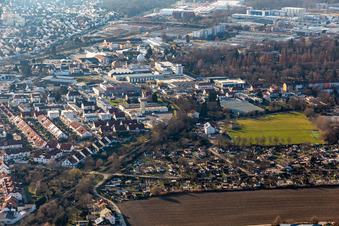 Luftbild von Schrebergärten und Sportplatz an der Kuhweide in Speyer im Bundesland Rheinland-Pfalz, Deutschland