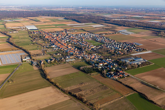 Ortsansicht am Rande von landwirtschaftlichen Feldern und Nutzflächen in Gommersheim im Bundesland Rheinland-Pfalz, Deutschland
