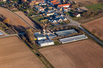Schrägluftbild von Freisbach im Bundesland Rheinland-Pfalz, Deutschland