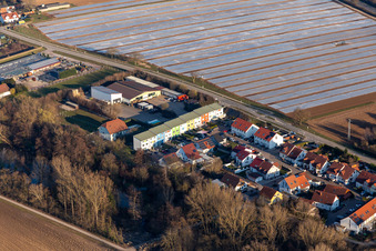Schrägluftbild von Weingarten im Bundesland Rheinland-Pfalz, Deutschland