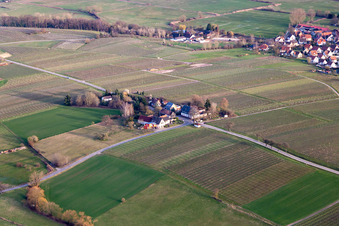 Windhof, grüne Grenze nach Frankreich in Schweighofen im Bundesland Rheinland-Pfalz, Deutschland