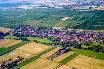 Dorf von Südosten im Ortsteil Duttweiler in Neustadt an der Weinstraße im Bundesland Rheinland-Pfalz, Deutschland