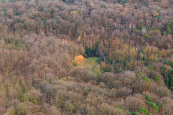 Alte Kiesgrube im Wald im Ortsteil Ingenheim in Billigheim-Ingenheim im Bundesland Rheinland-Pfalz, Deutschland