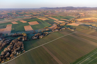 Horbachtal in der Morgensonne in Niederhorbach im Bundesland Rheinland-Pfalz, Deutschland