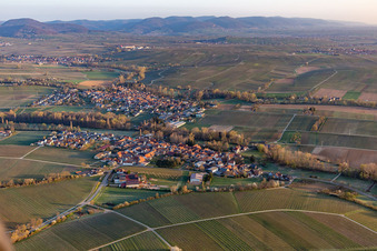 Luftbild von Dorf - Ansicht am Rande von Feldern und Weinbergen vor der Kulisse des Haardtrandes des Pfälzerwalds im Ortsteil Heuchelheim in Heuchelheim-Klingen im Bundesland Rheinland-Pfalz, Deutschland