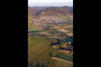 Klingbachtal in der Frühjahrsblüte in Klingenmünster im Bundesland Rheinland-Pfalz, Deutschland