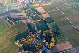 Sportplatz des SV Klingenmünster im Klingbachtal in der Frühjahrsblüte im Bundesland Rheinland-Pfalz, Deutschland