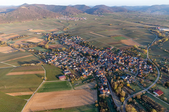 Landwirtschaftliche Nutzflächen und Feldgrenzen im Frühjahr umsäumen das Siedlungsgebiet des Dorfes in Göcklingen im Bundesland Rheinland-Pfalz, Deutschland