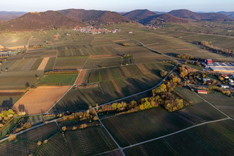 Aalmühl Tal vor Eschbach am Haardtrand in Göcklingen im Bundesland Rheinland-Pfalz, Deutschland