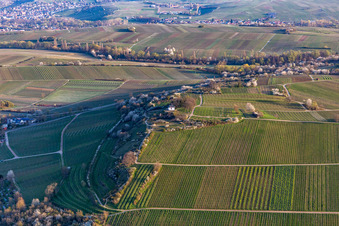 Kapelle "Kleine Kalmit" im Naturschutzgebiet Kleine Kalmit am Ostermorgen mit Frühlingsblüte in Ilbesheim bei Landau im Bundesland Rheinland-Pfalz, Deutschland