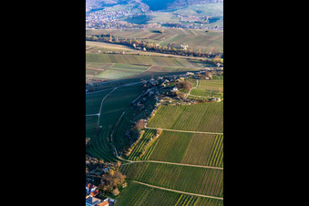 Luftbild von Kapelle "Kleine Kalmit" im Naturschutzgebiet Kleine Kalmit am Ostermorgen mit Frühlingsblüte in Ilbesheim bei Landau im Bundesland Rheinland-Pfalz, Deutschland