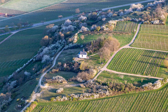 Luftaufnahme von Kapelle "Kleine Kalmit" im Naturschutzgebiet Kleine Kalmit am Ostermorgen mit Frühlingsblüte in Ilbesheim bei Landau im Bundesland Rheinland-Pfalz, Deutschland
