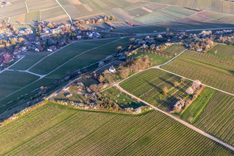 Schrägluftbild von Kapelle "Kleine Kalmit" im Naturschutzgebiet Kleine Kalmit am Ostermorgen mit Frühlingsblüte in Ilbesheim bei Landau im Bundesland Rheinland-Pfalz, Deutschland