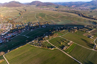 Kapelle "Kleine Kalmit" im Naturschutzgebiet Kleine Kalmit am Ostermorgen mit Frühlingsblüte in Ilbesheim bei Landau im Bundesland Rheinland-Pfalz, Deutschland von oben