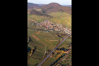 Keschdebusch (Kastanienbusch) vor dem Trifels in Birkweiler im Bundesland Rheinland-Pfalz, Deutschland