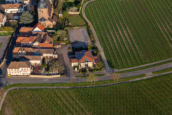 Das Weinhaus Vinothek Meßmer, Ritterhof zur Rose in Burrweiler im Bundesland Rheinland-Pfalz, Deutschland