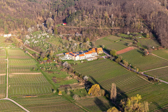 Luftaufnahme von Gebäudekomplex der Hotelanlage Wohlfühlhotel Alte Rebschule und Gasthaus Sesel im Frühling in Rhodt unter Rietburg im Bundesland Rheinland-Pfalz, Deutschland