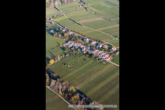 Siedlung an der Klosterstraße in Edenkoben im Bundesland Rheinland-Pfalz, Deutschland