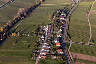 Ortsteil Siedlung an der Klosterstraße in Edenkoben im Bundesland Rheinland-Pfalz, Deutschland