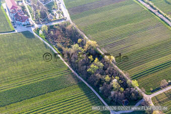 Triefenbachtal in Edenkoben im Bundesland Rheinland-Pfalz, Deutschland