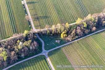 Grillplatz am Woogweg in Edenkoben im Bundesland Rheinland-Pfalz, Deutschland