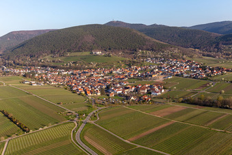 Dorf - Ansicht am Rande der Haardt des Pfälzerwalds zwischen Weinbergen im Frühjahr in Sankt Martin im Ortsteil SaintMartin im Bundesland Rheinland-Pfalz, Deutschland