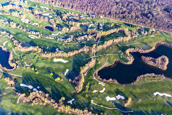 Luftbild von Blühende Bäume im Frühjahr auf der Golfanlage Landgut Dreihof - GOLF absolute in Essingen im Bundesland Rheinland-Pfalz, Deutschland