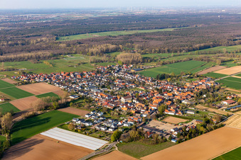 Knittelsheim im Bundesland Rheinland-Pfalz, Deutschland von oben