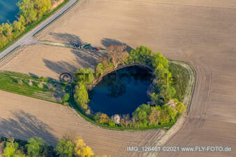 Biotop am Neupotzer Altrhein in Jockgrim im Bundesland Rheinland-Pfalz, Deutschland