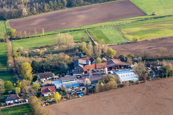 Luftbild von Pferdepension Palatino Ranch in Steinweiler im Bundesland Rheinland-Pfalz, Deutschland
