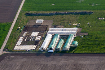 Steinweiler im Bundesland Rheinland-Pfalz, Deutschland aus der Luft betrachtet