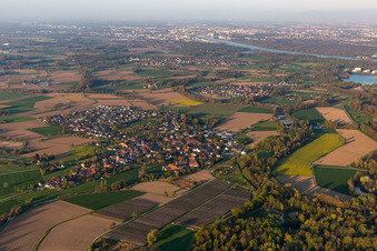 Luftbild von Dorfkern an den Fluß- Uferbereichen des Rhein in Diersheim in Rheinau im Bundesland Baden-Württemberg, Deutschland
