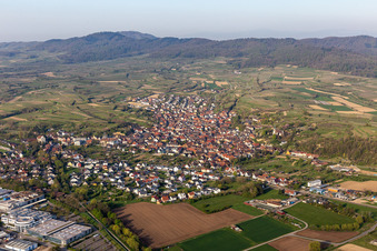 Luftbild von Felder einer Weinbergs- Landschaft der Winzer- Gebiete in Bahlingen im Kaiserstuhl in Bahlingen am Kaiserstuhl im Bundesland Baden-Württemberg, Deutschland