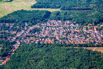 Luftbild von Stadtansicht von Süden in Birkenheide im Bundesland Rheinland-Pfalz, Deutschland