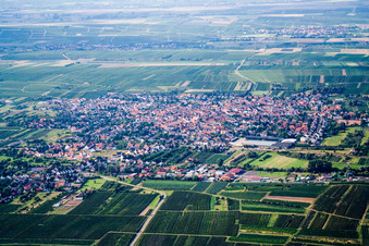 Weisenheim am Sand von Süden im Bundesland Rheinland-Pfalz, Deutschland