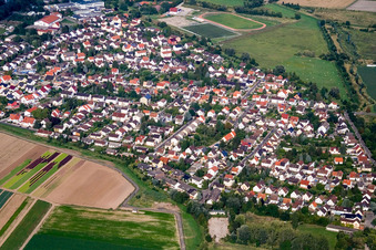 Luftbild von Ortsansicht der Straßen und Häuser der Wohngebiete in Lambsheim im Bundesland Rheinland-Pfalz, Deutschland