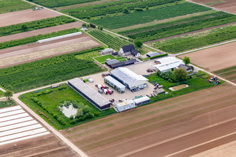 De Bauer in Winden im Bundesland Rheinland-Pfalz, Deutschland