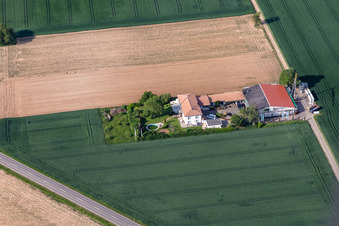 Bioland Weingut Neuspergerhof in Rohrbach im Bundesland Rheinland-Pfalz, Deutschland