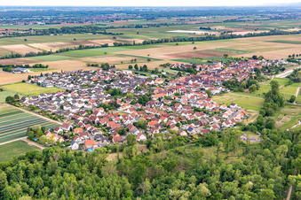 Freisbach im Bundesland Rheinland-Pfalz, Deutschland von oben