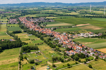 Ortsansicht am Rande von landwirtschaftlichen Feldern und Nutzflächen in Freckenfeld im Bundesland Rheinland-Pfalz, Deutschland