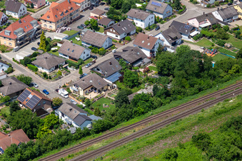 Im Rosengarten in Winden im Bundesland Rheinland-Pfalz, Deutschland von oben